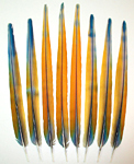 Gold Camelot  Macaw Tail Feathers