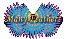 Many Feathers